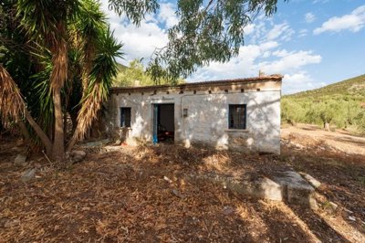 img157129e5-f0f8-491b-b7d2-154e28d078e6