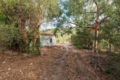 imgd71efa85-e211-4e3b-9d0d-f099c40db588