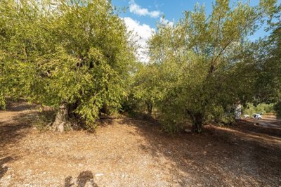 img75bd8f87-e532-46f1-a8bb-3bf4def923af