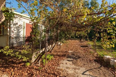 img5394e1cb-fc69-41e4-9563-a2095b565889