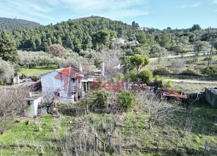 Image No.12-Propriété à vendre à Skopelos