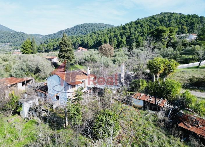 Image No.13-Propriété à vendre à Skopelos