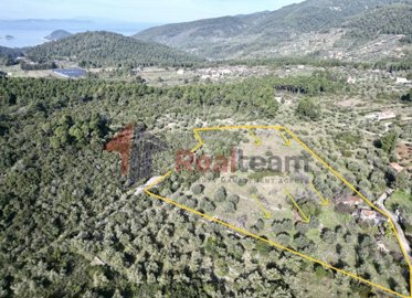 3ed11e44017144acaf4cd3ceeb2898e7