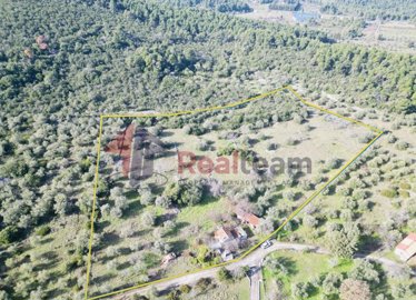 20f4cdec8a8b4de198ea2ec9838c6b7e