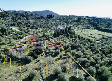 d2369ab4ab2a41ea855bdd1865522996