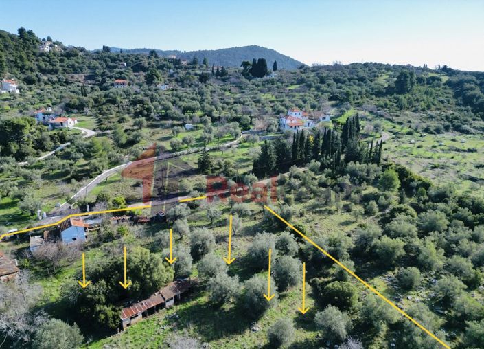 Image No.7-Propriété à vendre à Skopelos