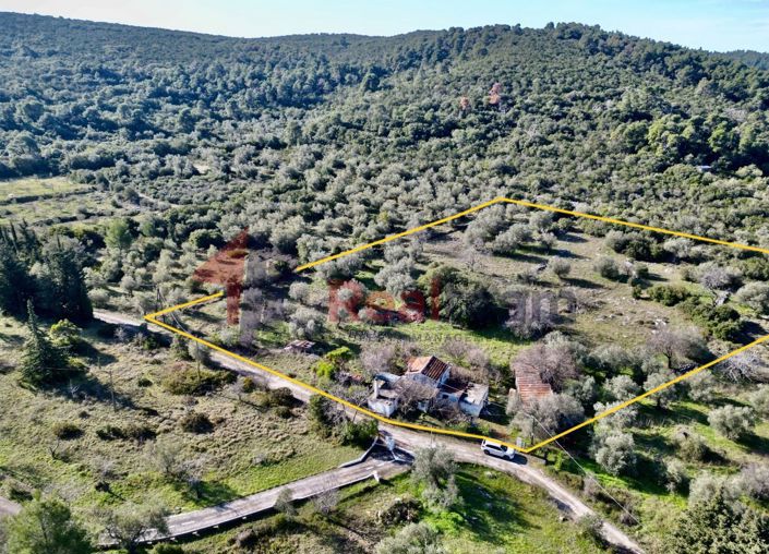 Image No.8-Propriété à vendre à Skopelos