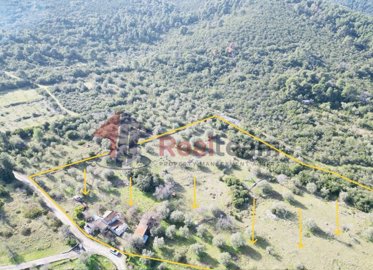 20179bbe85e34e7283fe8f8ada42d746