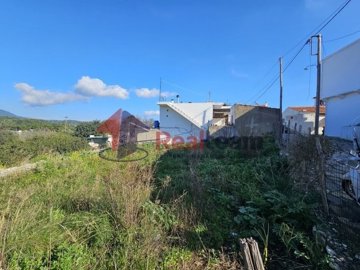 img416eb0de-6fc9-4fa8-848d-ae4a0c9ae891