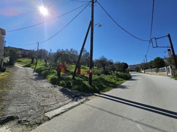 img7735389a-1056-4ca0-9f5a-38e2959c8d89