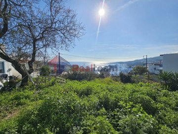 img33fe593b-d272-4beb-a9d1-0bb19f230ec2