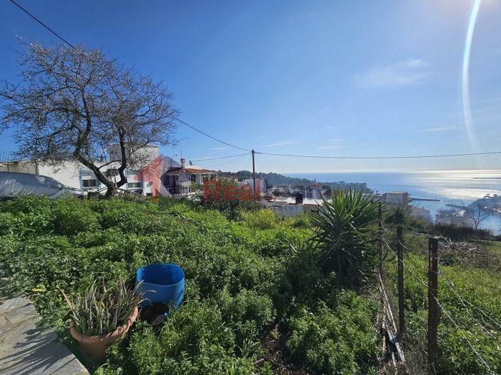 Image No.4-Propriété à vendre à Votsi