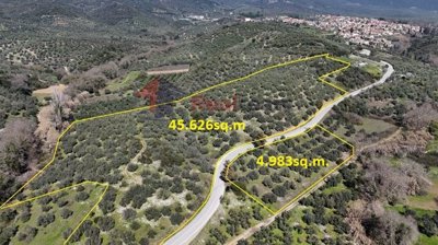 imgb1b38ab3-8a16-4256-8a36-d821bd42fbbc