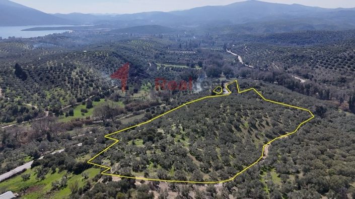 Image No.10-Propriété à vendre à Pteleos