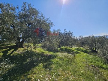 imga91d87cc-71e9-43e1-aa49-21d739354737