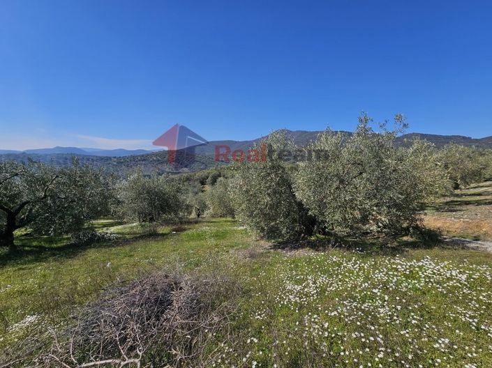 Image No.12-Propriété à vendre à Pteleos