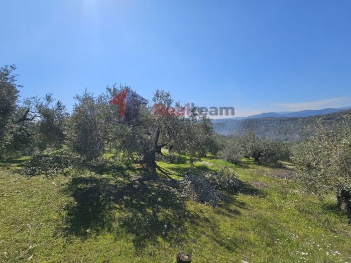 Image No.13-Propriété à vendre à Pteleos