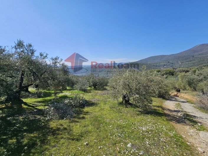 Image No.14-Propriété à vendre à Pteleos