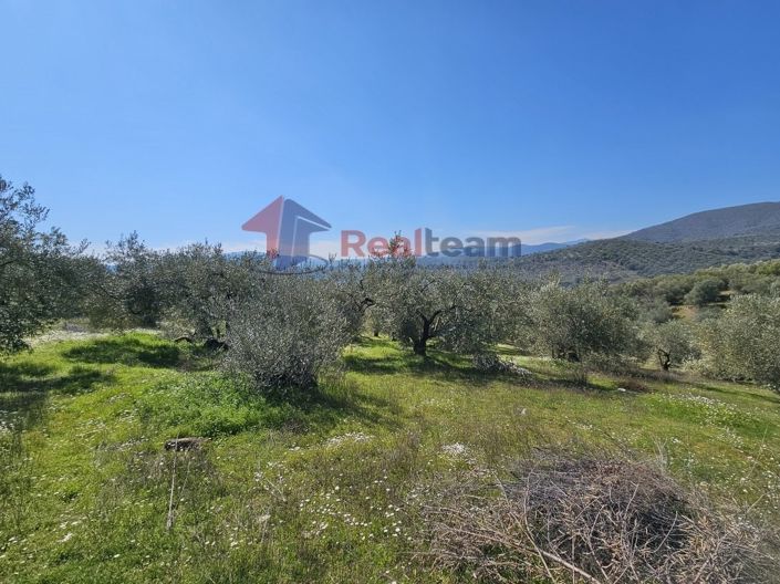 Image No.15-Propriété à vendre à Pteleos