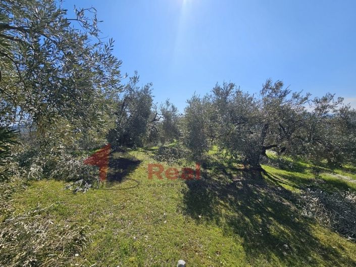 Image No.16-Propriété à vendre à Pteleos