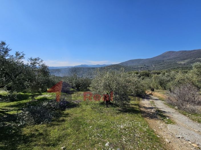 Image No.17-Propriété à vendre à Pteleos