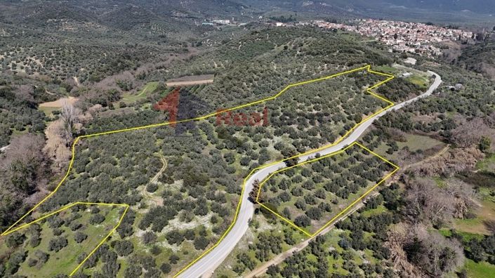 Image No.18-Propriété à vendre à Pteleos