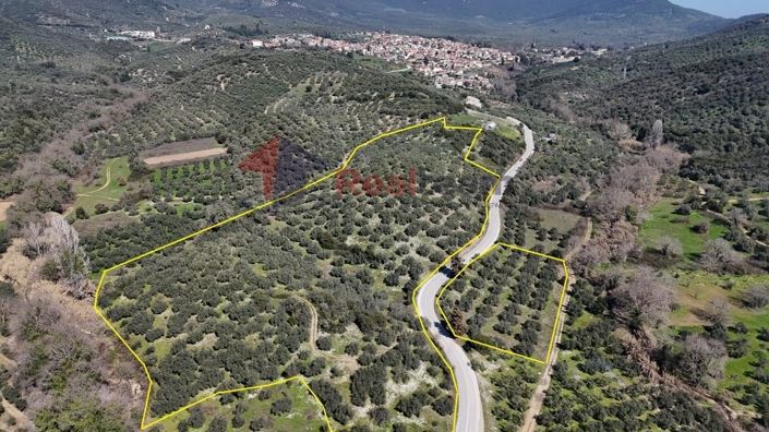 Image No.2-Propriété à vendre à Pteleos