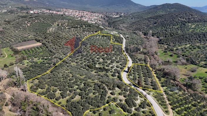 Image No.4-Propriété à vendre à Pteleos