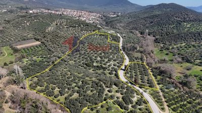 imge425fe2e-0aa2-40ac-8748-388e361c03ed