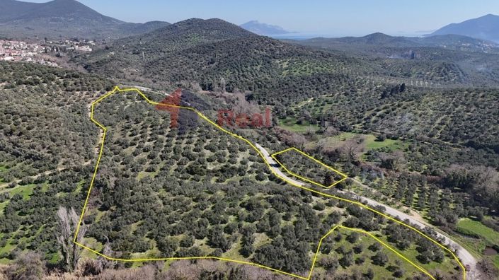 Image No.5-Propriété à vendre à Pteleos