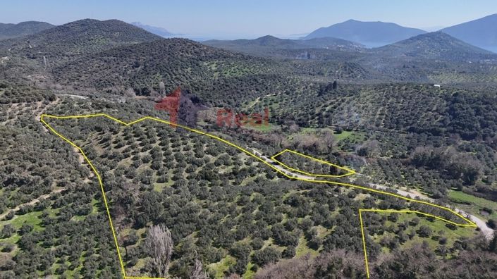 Image No.6-Propriété à vendre à Pteleos