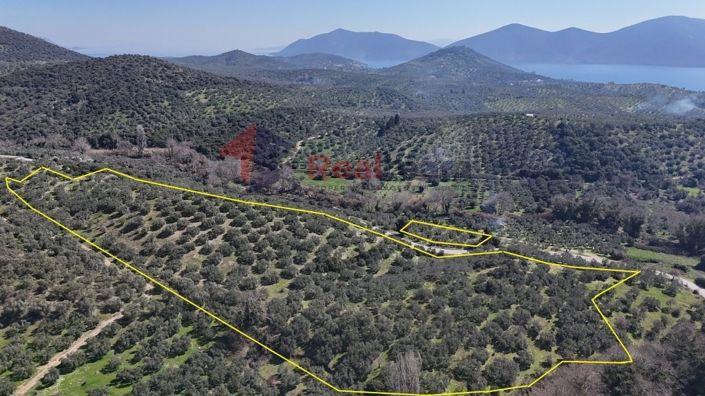 Image No.7-Propriété à vendre à Pteleos