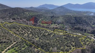 img26984c71-889d-46bb-a9a2-d01ccce059b5