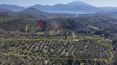 imgd0df9646-c9a1-4161-84db-69d26ff8290a