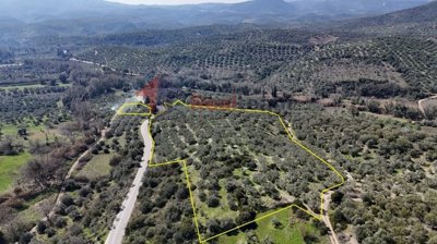 imgbc16397f-15f5-414d-b565-2bca0a19d784