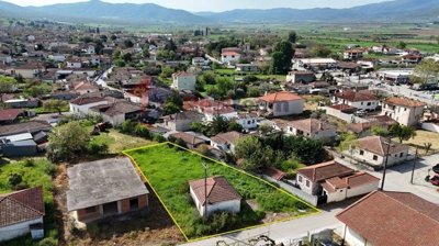 img455d1f2a-254a-4e07-91b0-5aa1405fe6f0