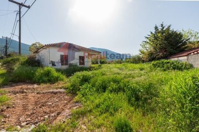 imgbf2a05c7-8eab-4664-bd31-0460f224d427