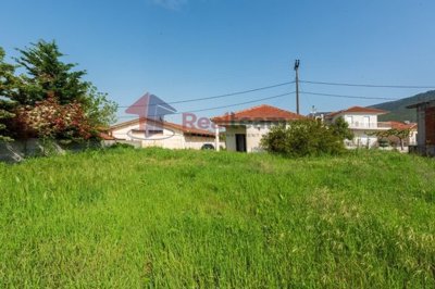 img9404e246-575e-47d7-9722-03a9a2586620