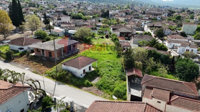 img2e3b4413-3747-410d-8ea6-df8086d394d4