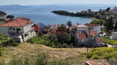 img6afe7429-2022-48f6-8bd1-d2569e466890