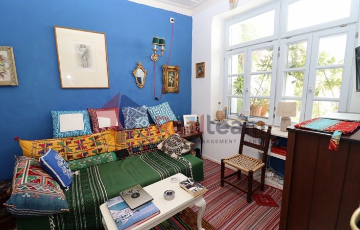 Image No.8-Propriété de 1 chambre à vendre à Chora