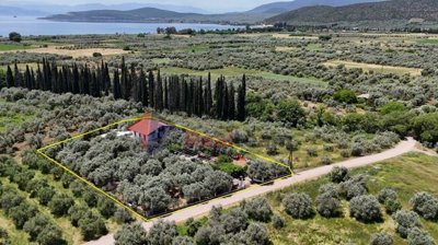 7ed817c6056c48598e55c6c1d8536f71