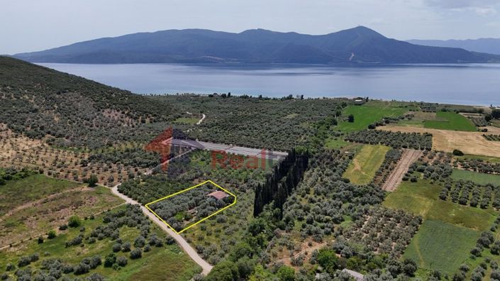 Image No.27-6 Bed Property for sale