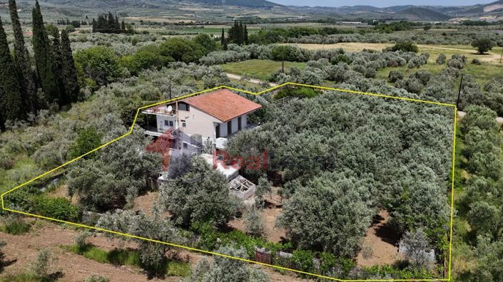 Image No.5-6 Bed Property for sale