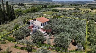 005febc6a2594dc9999f448d30c7ae71