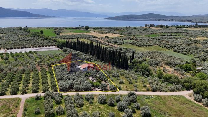 Image No.6-6 Bed Property for sale