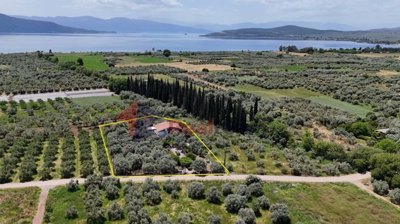 9393f33031134dc0962365e92739d42a