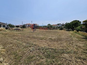 c29ad0c5a0ce4329a97ce2607ee56d51