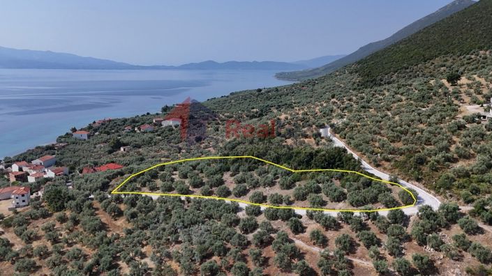 Image No.11-Propriété à vendre à Pteleos