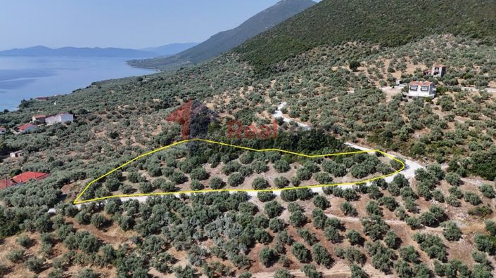 Image No.12-Propriété à vendre à Pteleos